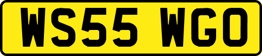 WS55WGO