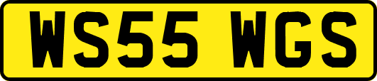 WS55WGS