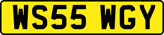 WS55WGY
