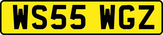WS55WGZ