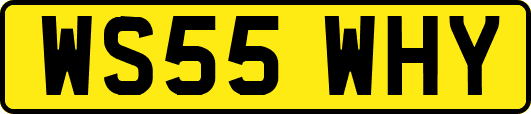 WS55WHY