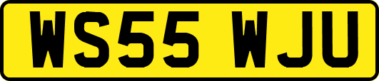 WS55WJU