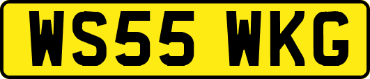WS55WKG