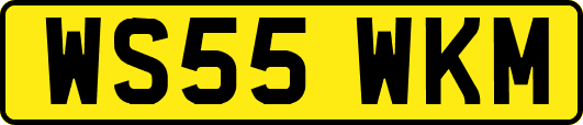 WS55WKM