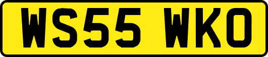 WS55WKO