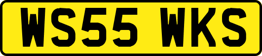 WS55WKS