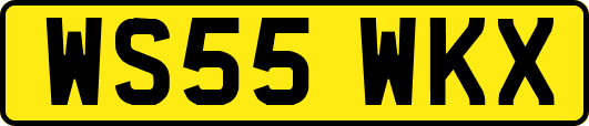 WS55WKX