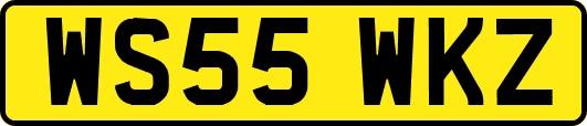 WS55WKZ
