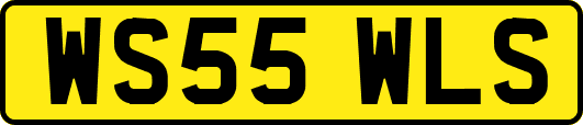 WS55WLS