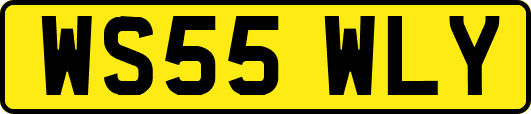 WS55WLY