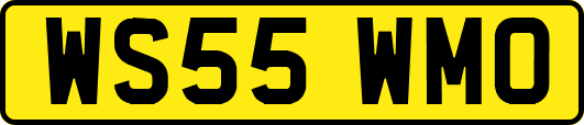 WS55WMO