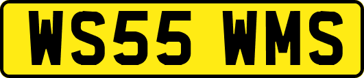 WS55WMS