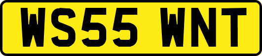 WS55WNT