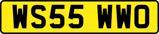 WS55WWO