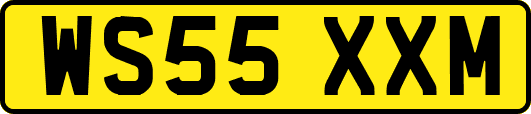 WS55XXM