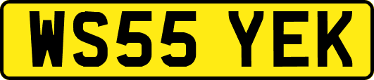 WS55YEK
