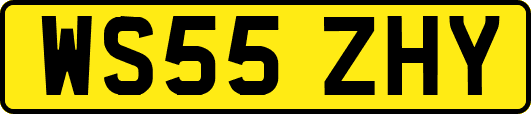WS55ZHY