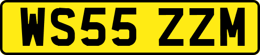 WS55ZZM