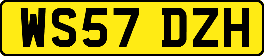 WS57DZH