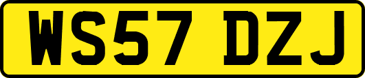 WS57DZJ