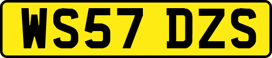 WS57DZS