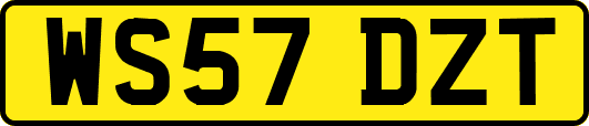 WS57DZT