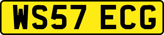 WS57ECG