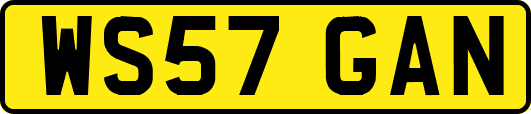 WS57GAN