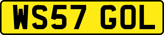 WS57GOL