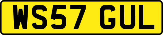 WS57GUL
