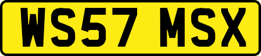 WS57MSX