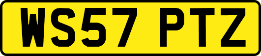 WS57PTZ