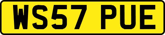 WS57PUE