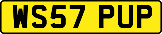 WS57PUP