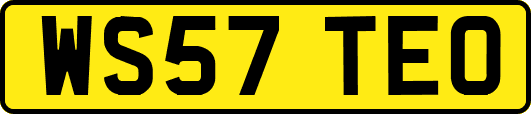 WS57TEO