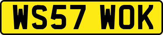 WS57WOK