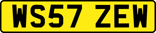 WS57ZEW