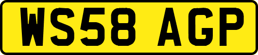 WS58AGP