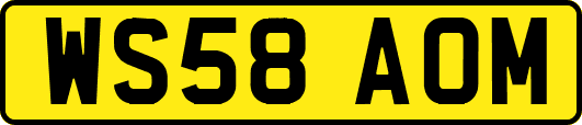 WS58AOM