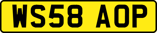 WS58AOP