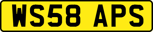 WS58APS