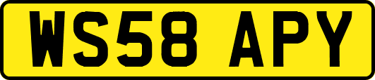 WS58APY