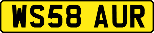 WS58AUR
