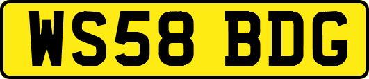 WS58BDG