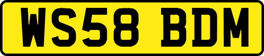 WS58BDM
