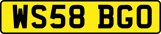 WS58BGO