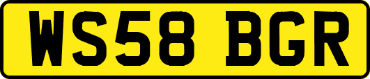 WS58BGR