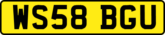 WS58BGU