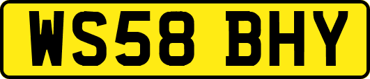 WS58BHY