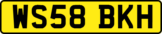 WS58BKH
